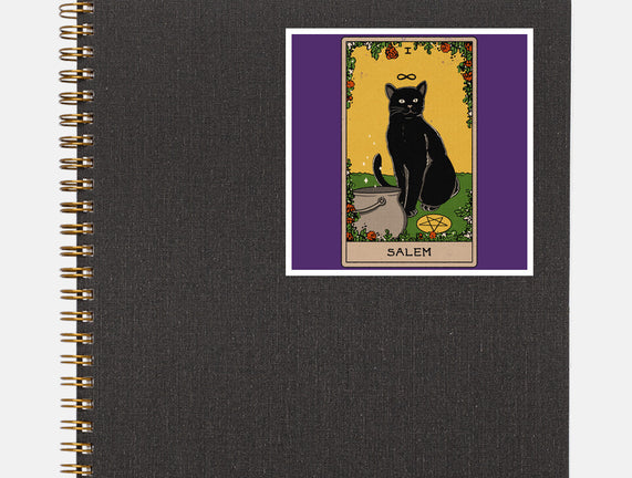 Salem The Cat