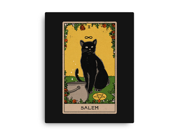 Salem The Cat