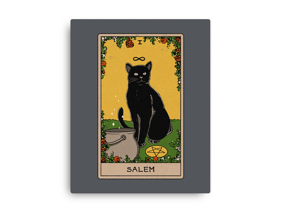 Salem The Cat