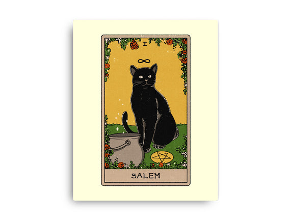 Salem The Cat