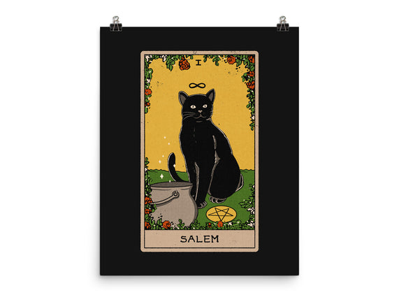 Salem The Cat