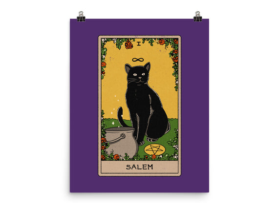 Salem The Cat