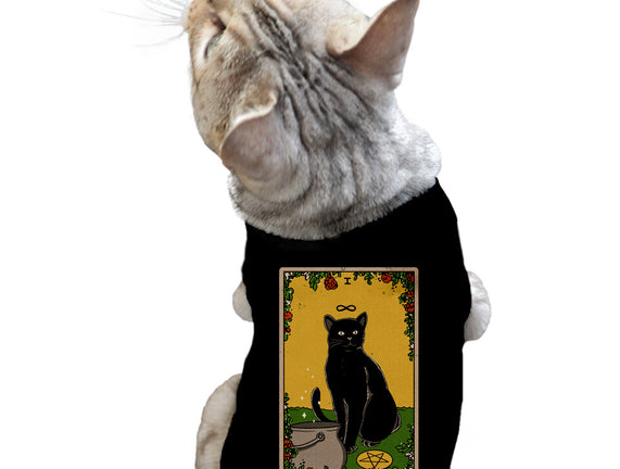 Salem The Cat