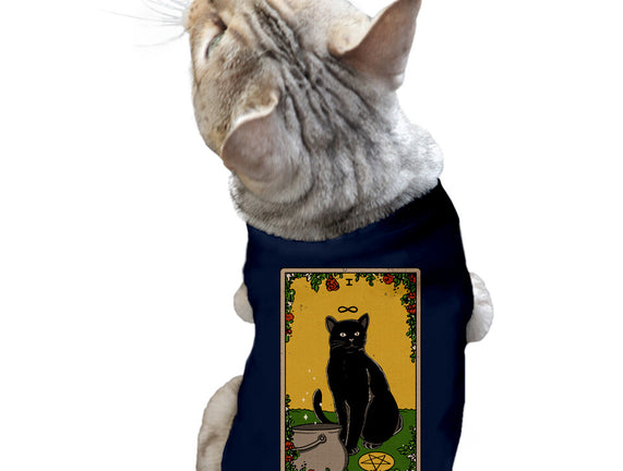Salem The Cat
