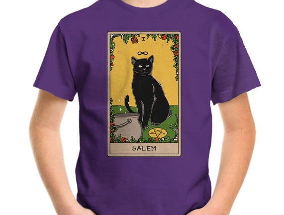 Salem The Cat