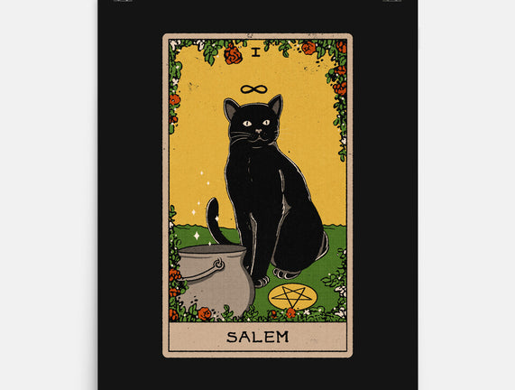 Salem The Cat