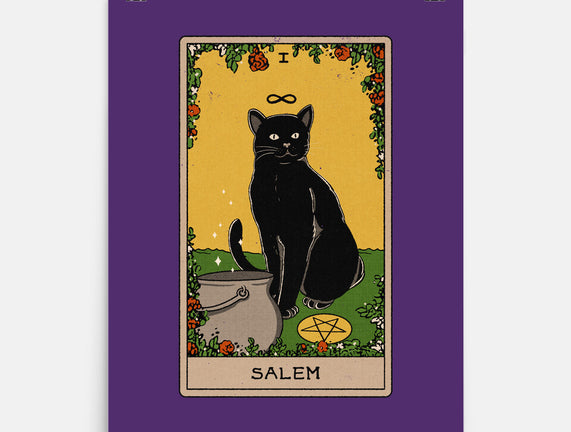 Salem The Cat