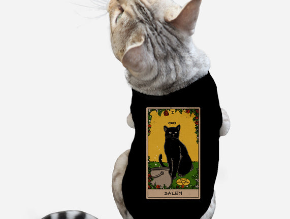 Salem The Cat