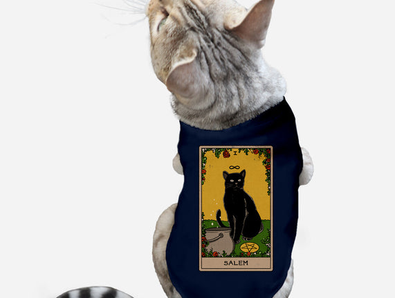 Salem The Cat