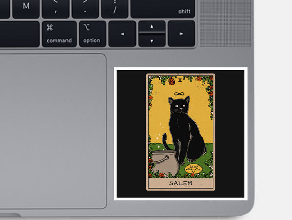 Salem The Cat