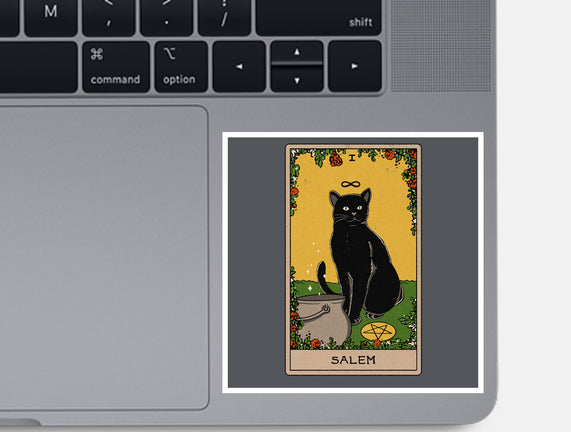 Salem The Cat