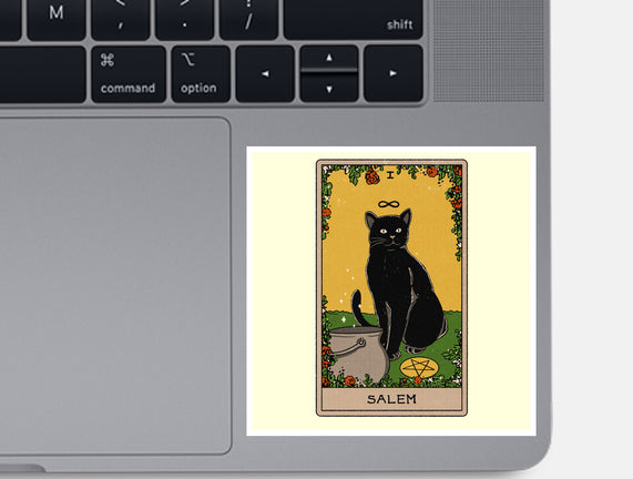 Salem The Cat
