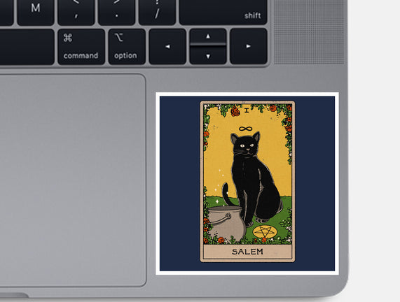 Salem The Cat