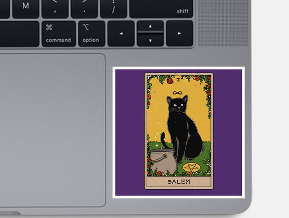 Salem The Cat
