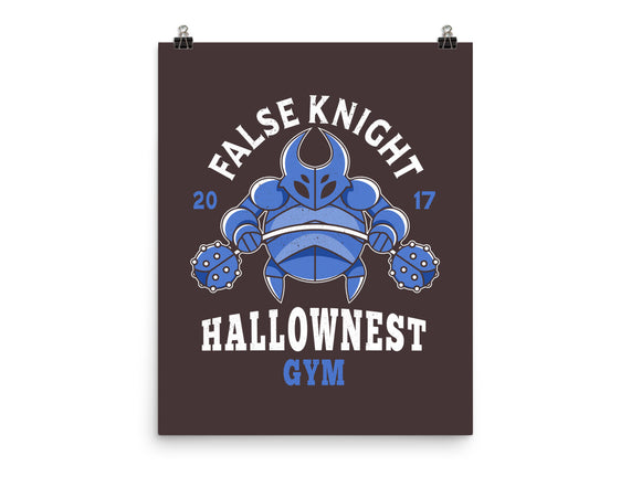 False Knight Gym