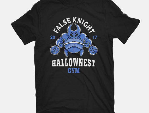 False Knight Gym