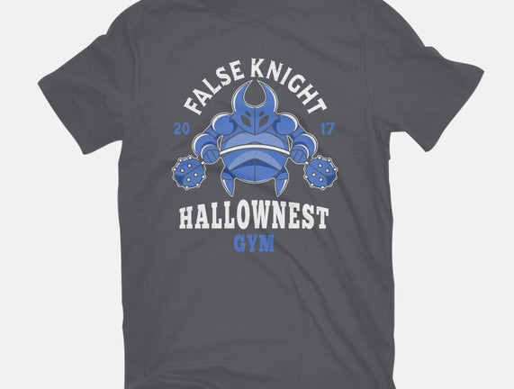 False Knight Gym