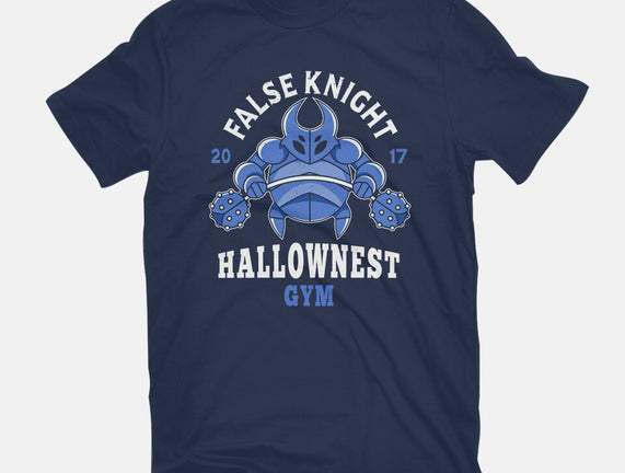 False Knight Gym