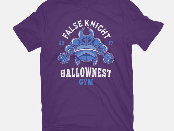 False Knight Gym