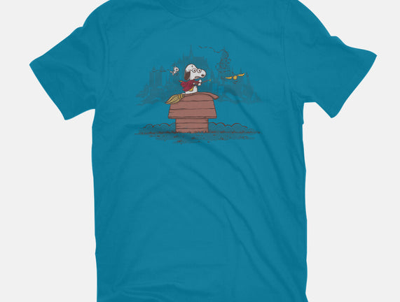 Wizarding Ace