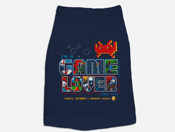 Video Game Lover