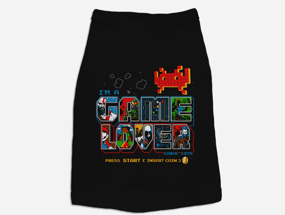 Video Game Lover
