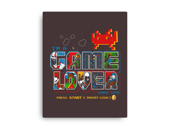 Video Game Lover