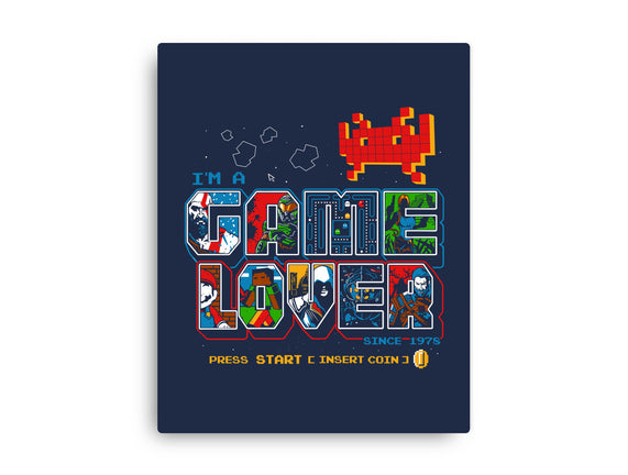 Video Game Lover