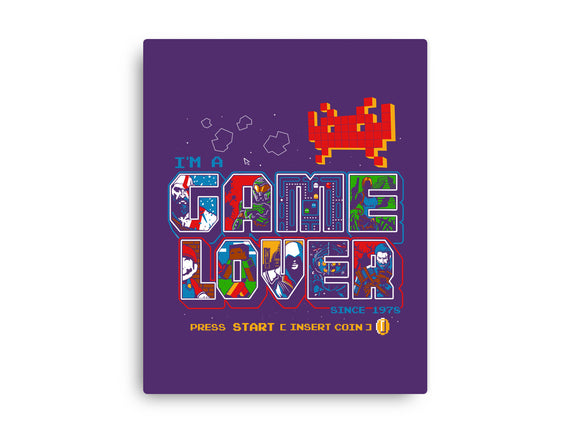 Video Game Lover