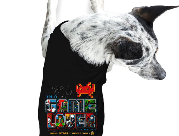 Video Game Lover