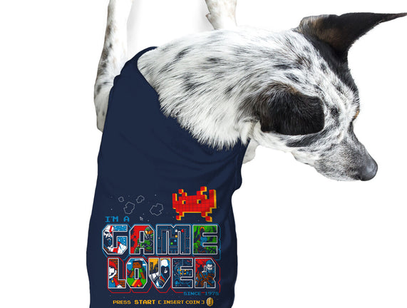 Video Game Lover