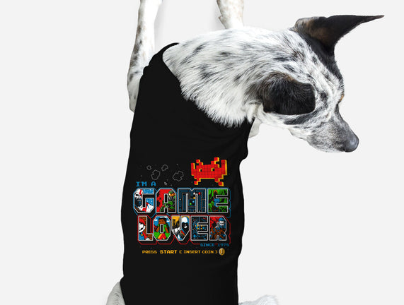 Video Game Lover