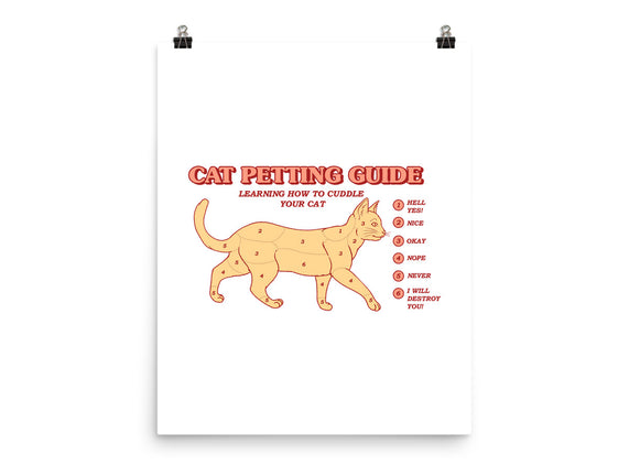 Cat Petting Guide