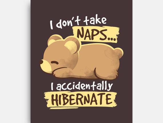Bear Takes Naps
