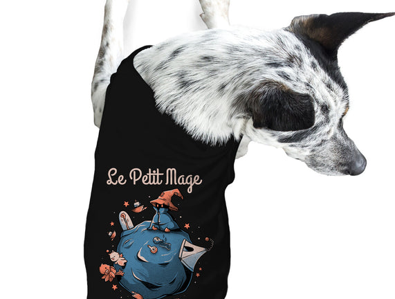 Le Petit Mage