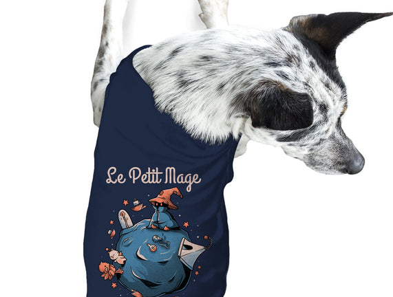 Le Petit Mage