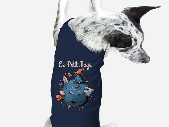 Le Petit Mage