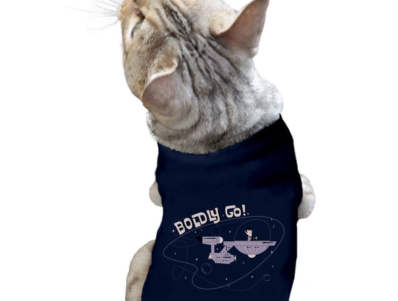 Boldly Explorer