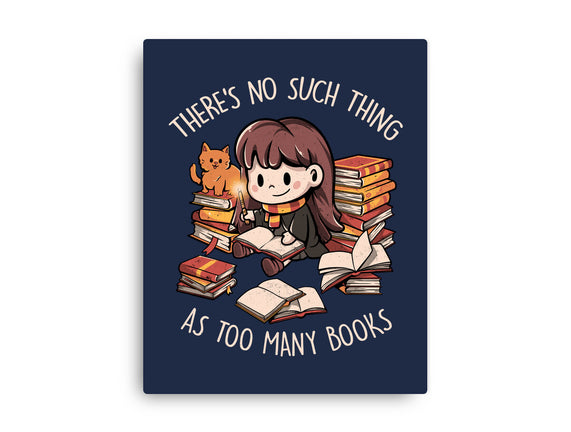 No Such Thing As Too Many Books