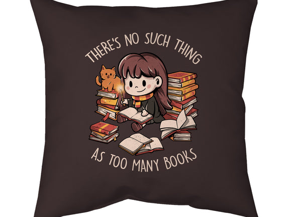 No Such Thing As Too Many Books