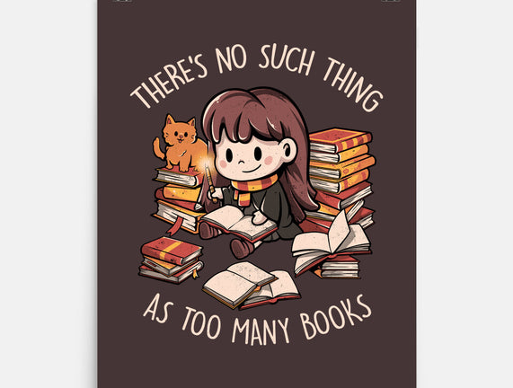 No Such Thing As Too Many Books