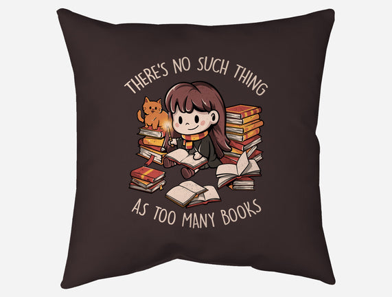 No Such Thing As Too Many Books