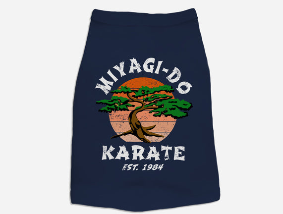 Miyagi Karate