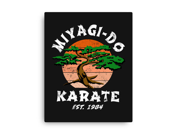 Miyagi Karate