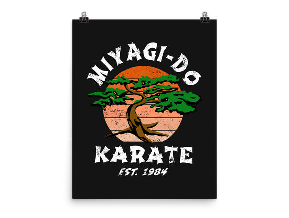 Miyagi Karate