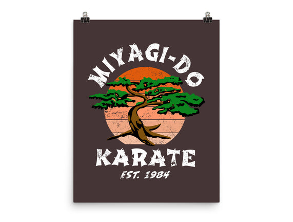 Miyagi Karate