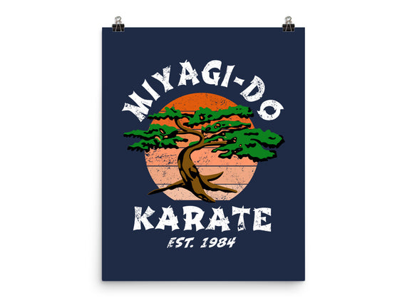 Miyagi Karate