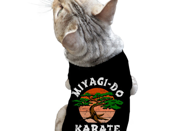 Miyagi Karate