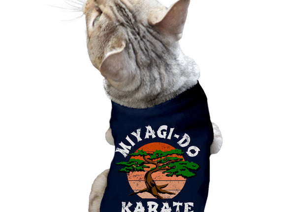 Miyagi Karate
