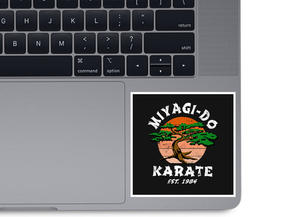 Miyagi Karate